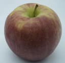 Manzana Red Delicious