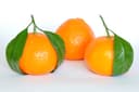 Mandarina