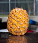 Pina