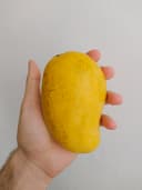 Mango Ataulfo