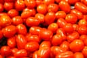 Jitomate Saladette